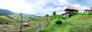 Panorama View of Pa Bong Piang Rice Terraces at Chiang Mai Province, Thailand.
