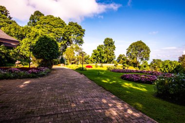 Chiang Rai bölgesindeki Doi Tung Kraliyet Konağı 'nda güzel bir park..