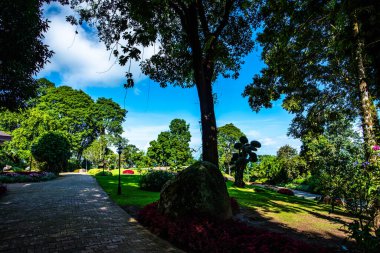 Chiang Rai bölgesindeki Doi Tung Kraliyet Konağı 'nda güzel bir park..