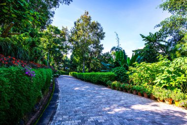 Chiang Rai bölgesindeki Doi Tung Kraliyet Konağı 'nda güzel bir park..