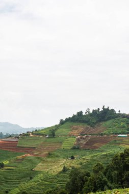 Tayland, Tayland 'da doğal manzara.