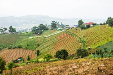 Tayland, Tayland ve Tayland 'da doğal manzara..