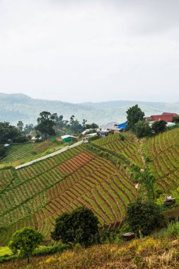 Tayland, Tayland ve Tayland 'da doğal manzara..