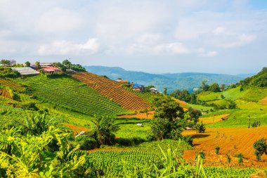 Tayland, Tayland ve Tayland 'da doğal manzara..