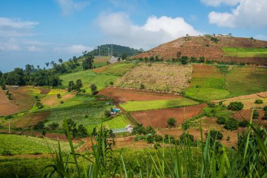 Tayland, Tayland 'da doğal manzara.