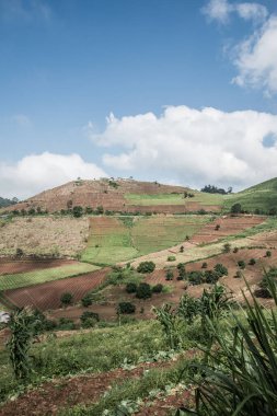 Tayland, Tayland 'da doğal manzara.