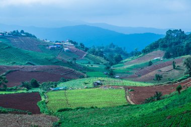 Tayland, Tayland 'da doğal manzara.