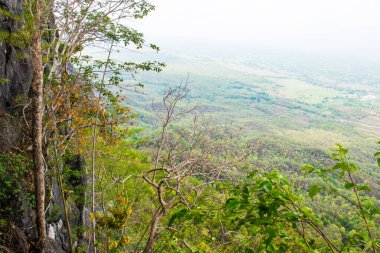 Tayland 'ın Lampang bölgesindeki ağaçlar, mağaralar ve Pan şehri.