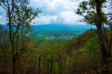 Chalermprakiat Prachomklao Rachanusorn Tapınağı, Tayland.