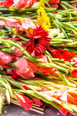 Tapmak için çiçekler, Tayland