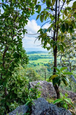 Pha Hua Reua Cliff with Mountain View in Phayao Province, Thailand.