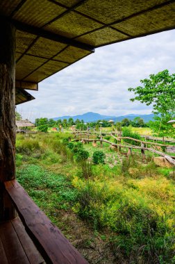 Nan Eyaleti, Pua Bölgesi 'nde Rice Field ile Küçük Ağaç Köprüsü.