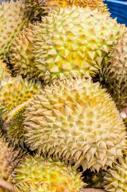 Durian meyveleri pazarda, Tayland usulü meyveler, Tayland