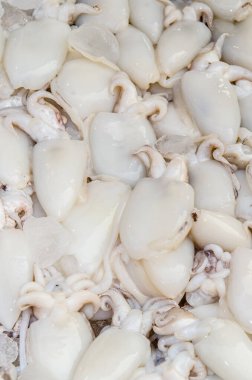 Taze mürekkep balığı taze pazarda, Tayland