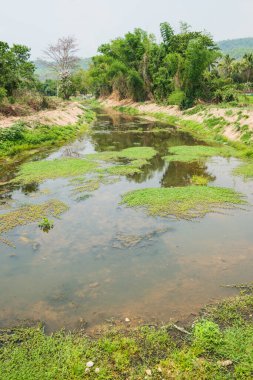 Tayland 'ın doğal manzarası