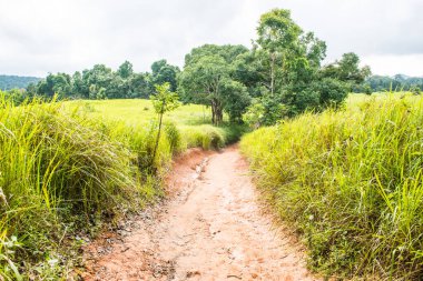 Ulusal Park, Tayland 'da Doğal Yürüyüş