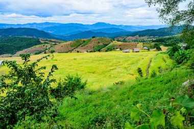 Pa Bong Piang Rice Terraces at Chiang Mai Province, Thailand.