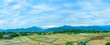 Nan ilinin Phuket Tapınağı 'ndaki Pirinç Tarlası Panorama Manzarası.