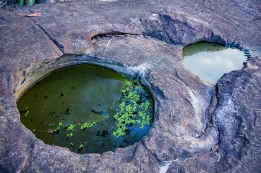 Some Pond at Well No.12, Phayao Province.