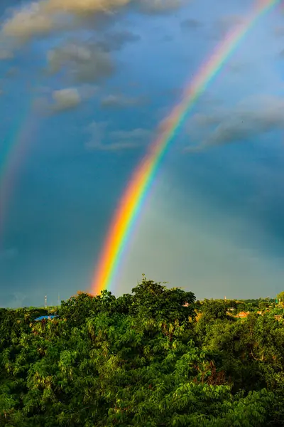 Rainbow with tree foreground at Chiangmai province, Thailand.