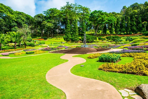 Landschap Van Mae Fah Luang Garden Thailand Rechtenvrije Stockafbeeldingen