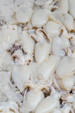 Taze mürekkep balığı taze pazarda, Tayland