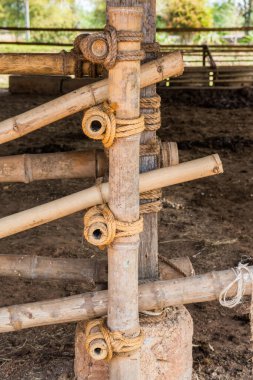 İp, bambuya, Tayland 'a bağlanır.