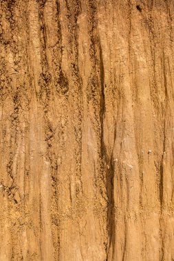 Lalu parkındaki toprak dokusu, harika bir yer, Sakaeo bölgesi, Tayland