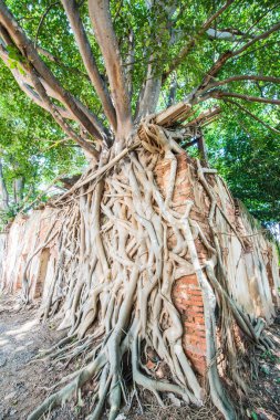 Kratai Tapınak, Tayland antik Tay kilisede seslendirdi.