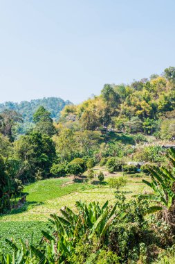 Doi Mon Jam, Tayland Dağ Manzarası.