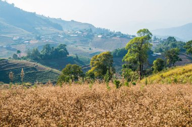 Tayland dağ manzarası, Tayland