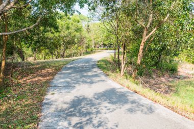 Kamu parkında, Tayland 'da.
