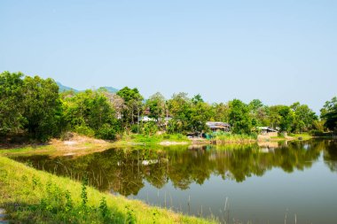 Tayland, Tayland 'da köy manzarası.