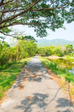 Kamu parkında, Tayland 'da.