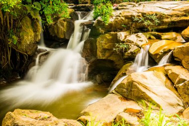 Thai Ormanı, Tayland 'da Su Akıntısı.