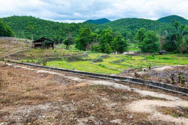 Tayland 'ın Chiangmai eyaletinde beton oluğu olan dağda tarım alanı..