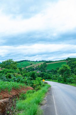 Chiang Mai, Tayland 'ın Mae Chaem ilçesinin yolu ile dağdaki tarım alanı.