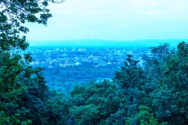 Ağaç önplanlı Chiangmai şehri manzarası, Tayland.