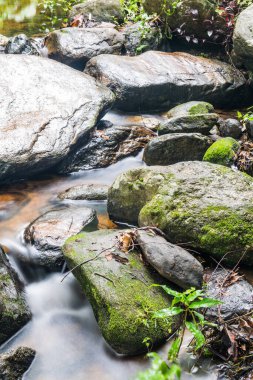 Doğal Park, Tayland 'da Wang Bua Ban şelalesinde su akışı.