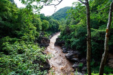 Ob Luang Ulusal Parkı, Chiangmai Eyaleti, Tayland.