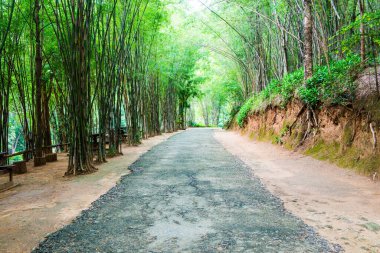 Ob Luang Ulusal Parkı, Tayland.