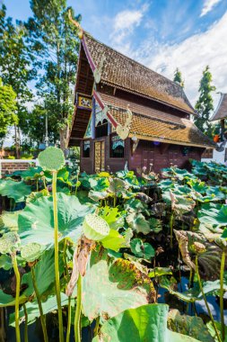 Su Havuzu, Tayland 'daki Antik Tayland Kilisesi Nilüfer Tohumu..