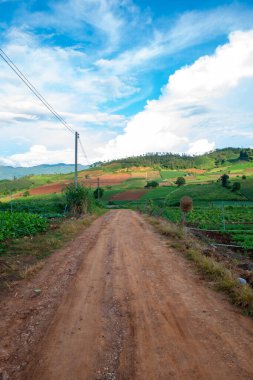 Chiang Mai, Tayland 'da Mae Chaem bölgesinin dağ manzaralı tarım alanı.