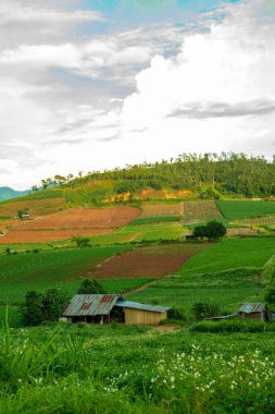 Chiang Mai, Tayland 'da Mae Chaem bölgesinin dağ manzaralı tarım alanı.