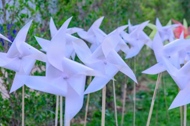 Parktaki Plastik Beyaz Yaban Değirmeni, Chiangmai Eyaleti.