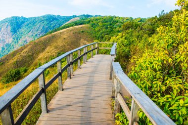 Kew Mae Pan 'ın Doi Inthanon Doğal Parkı, Tayland Bakış Alanı
