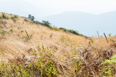 Kew Mae Pan görünümü Doi Inthanon Tabiat Parkı, Tayland