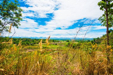 Tayland 'ın Chiangrai eyaletinde Country View
