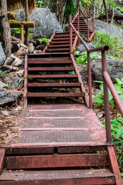 Ormanda çelik merdivenler, Tayland.