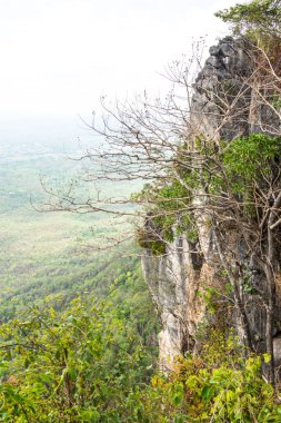 Tayland 'ın Lampang bölgesindeki ağaçlar, mağaralar ve Pan şehri.